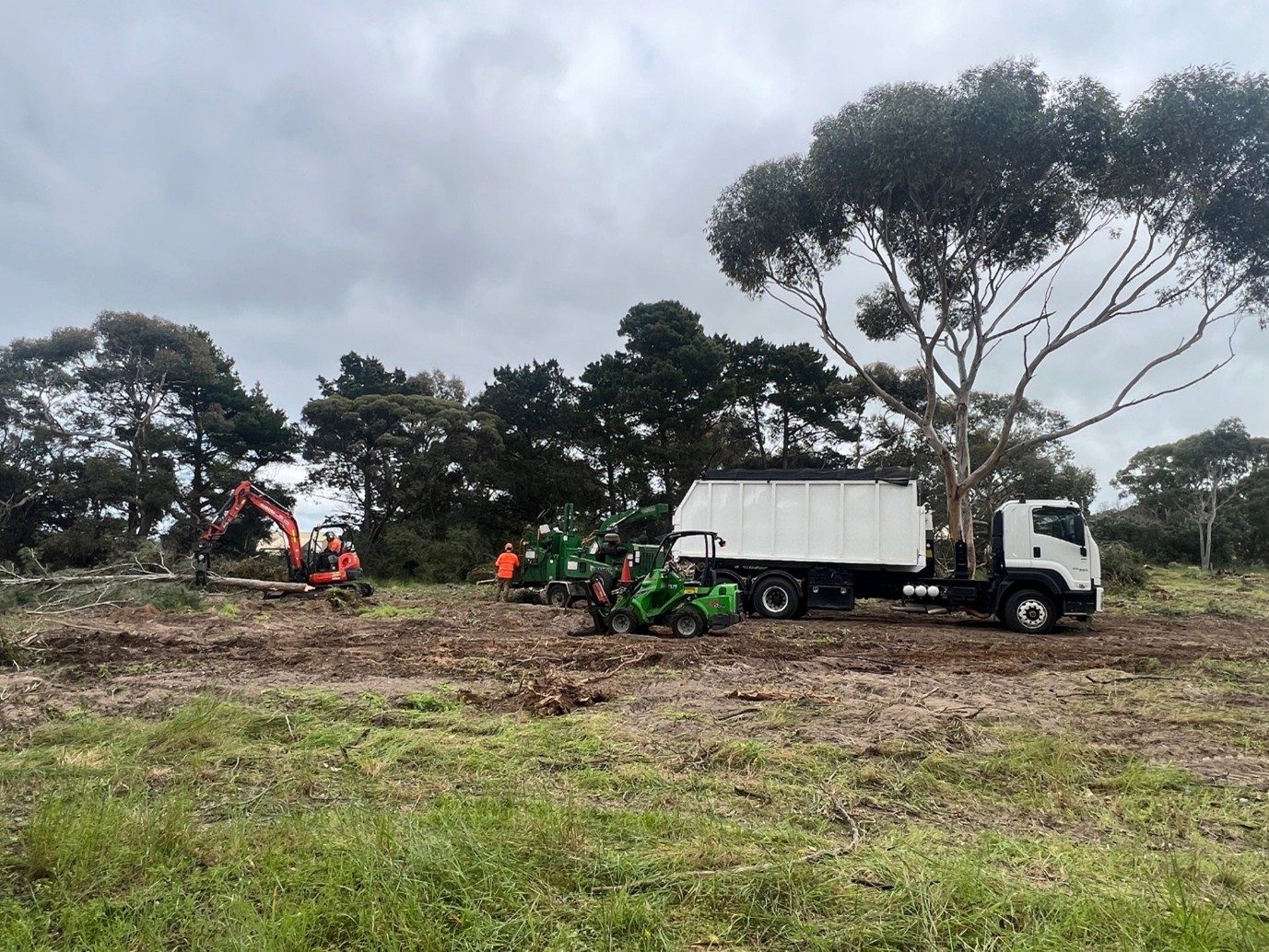 The Adelaide Arborists fleet and crew on a cleared site